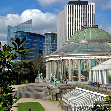 Jardin Botanique de Bruxelles